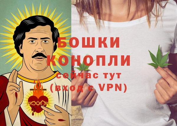 гидра Карпинск