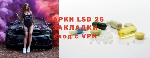 ПСИЛОЦИБИНОВЫЕ ГРИБЫ Каменка