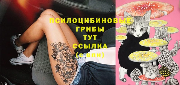 ПСИЛОЦИБИНОВЫЕ ГРИБЫ Каменка