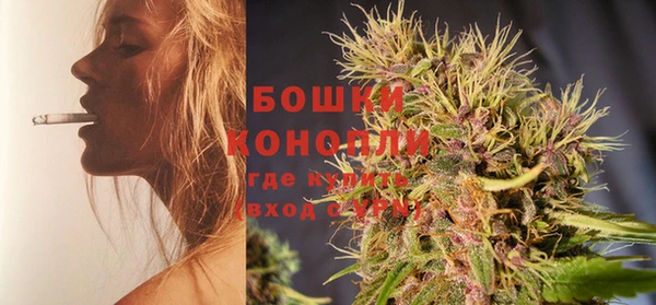 спайс Инсар