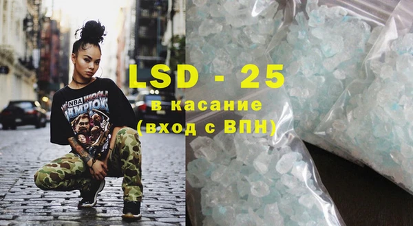 ПСИЛОЦИБИНОВЫЕ ГРИБЫ Каменка