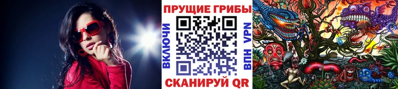 Псилоцибиновые грибы Magic Shrooms как найти закладки Комсомольск